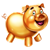 gold_pig