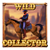 collector