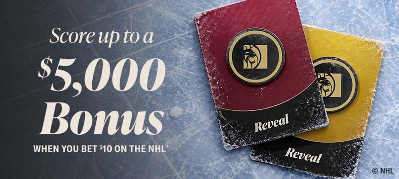 NHL® Pick-A-Puck